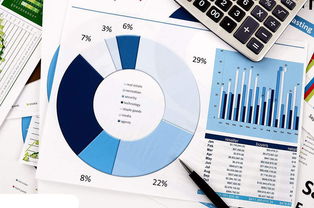 大數據分析軟件與商業智能（BI）工具 驅動互聯網數據服務的雙引擎